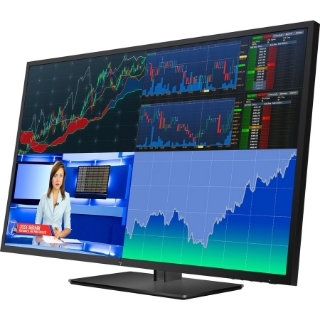 Picture of HP Business Z43 42.5" 4K UHD LED LCD Monitor - 16:9 - Black Pearl