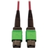 Picture of Tripp Lite Multimode Fiber Optic Cable 400G OM4 Plenum MTP/MPO-APC F/F 5M