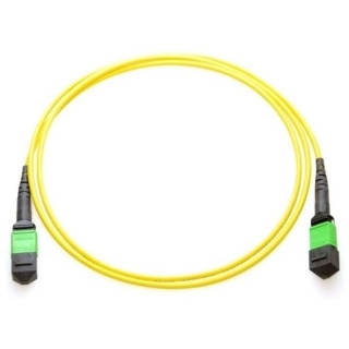 Picture of Axiom MPO Female to MPO Male Singlemode 9/125 Fiber Optic Cable - 50m