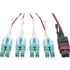 Picture of Tripp Lite 3M MTP MPO 8xLC 50/125 OM4 Fanout Patch Cable 12 Fiber 40GB CMP