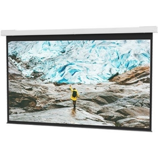 Picture of Da-Lite DescenderPro 164" Electric Projection Screen