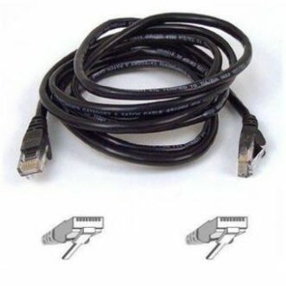 Picture of Belkin Cat6 Patch Cable