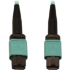 Picture of Tripp Lite N844B-10M-12-P Fiber Optic Network Cable