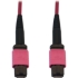 Picture of Tripp Lite N845B-10M-12-MG Fiber Optic Network Cable