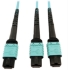 Picture of Tripp Lite Multimode Fiber Optic Cable 24F MTP/MPO-PC to x2 12F MTP/MPO-PC F/F 5M