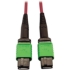 Picture of Tripp Lite Multimode Fiber Optic Cable 400G OM4 Plenum MTP/MPO-APC F/F 1M