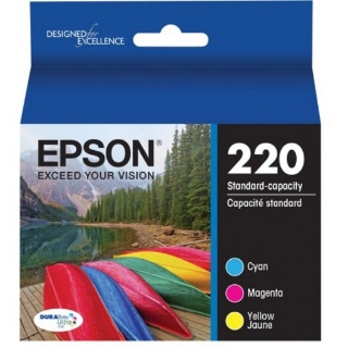 Picture of Epson DURABrite T220520 Original Ink Cartridge - Multi-pack - Cyan