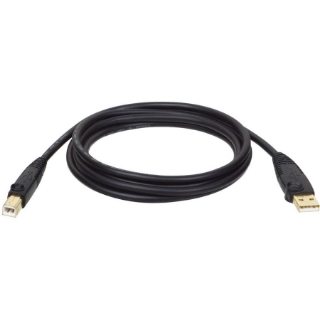 Picture of Tripp Lite 6ft USB Cable Hi-Speed Gold Shielded USB 2.0 A/B Male / Male