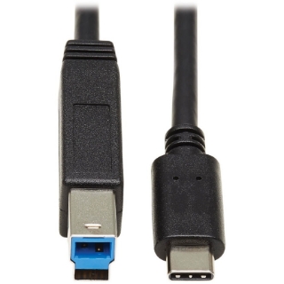 Picture of Tripp Lite USB C to USB Type B Cable USB Type C 3.1 Gen 2, 10 Gbps M/M 20in