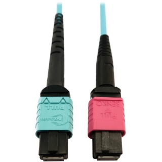 Picture of Tripp Lite Multimode Fiber Optic Cable 24F MTP/MPO-UPC to 16F MTP/MPO-UPC F/F 1M