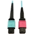 Picture of Tripp Lite Multimode Fiber Optic Cable 24F MTP/MPO-UPC to 16F MTP/MPO-UPC F/F 1M