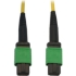 Picture of Tripp Lite N390B-05M-12-AP Fiber Optic Network Cable