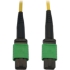 Picture of Tripp Lite N390B-03M-12-AP Fiber Optic Network Cable