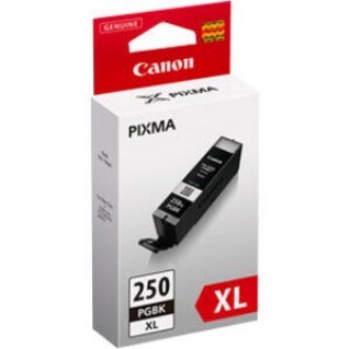 Picture of Canon 250PGBK Original Ink Cartridge - Twin-pack - Pigment Black