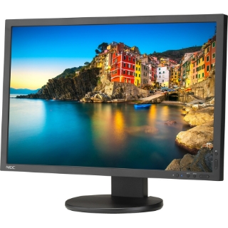 Picture of NEC Display Professional P243W-BK 24.1" WUXGA WLED LCD Monitor - 16:10 - Black