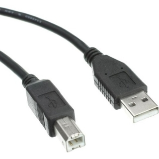 Picture of Axiom USB 2.0 Type-A to USB Type-B Cable M/M 6ft