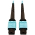 Picture of Tripp Lite Multimode Fiber Optic Cable OM4 Plenum 400G 50 24F MTP/MPO-PC F/F 10M