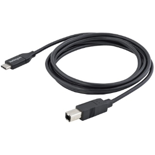 Picture of StarTech.com 2m 6 ft USB C to USB B Cable - M/M - USB 2.0 - USB Type C Printer Cable - USB 2.0 Type-C to Type-B Cable