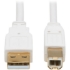 Picture of Tripp Lite Safe-IT USB-A to USB-B Antibacterial Cable (M/M), USB 2.0, White, 10 ft.